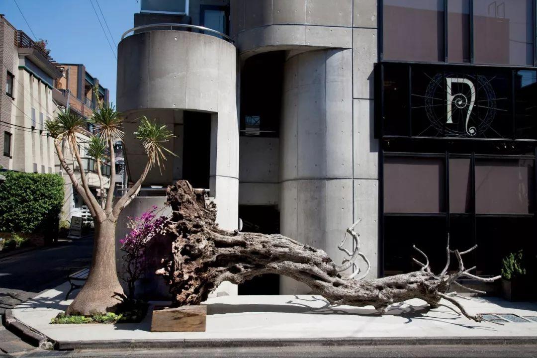 调查：美国保险业收入减少 奥巴马医改陷危机【三亿体育官网】