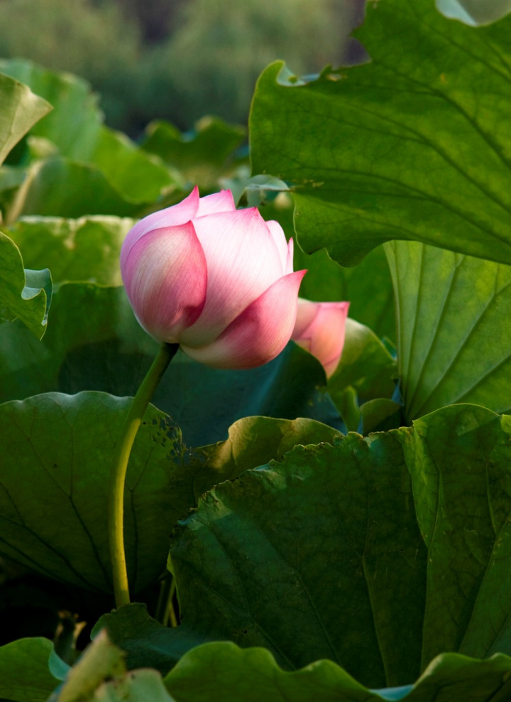 高校联赛DOTA2总决赛25日将在于广州大学城举行|三亿体育