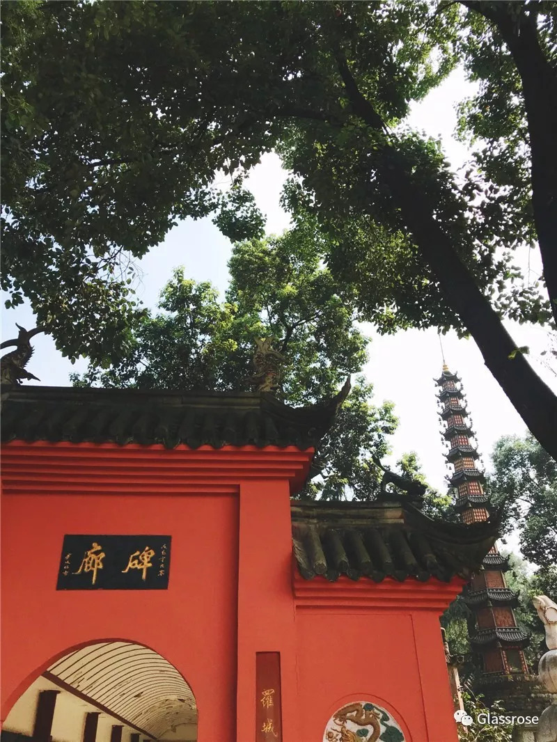 三亿体育手机版：《动物城》爆冷输给《魔弦传说》英国电影学院奖