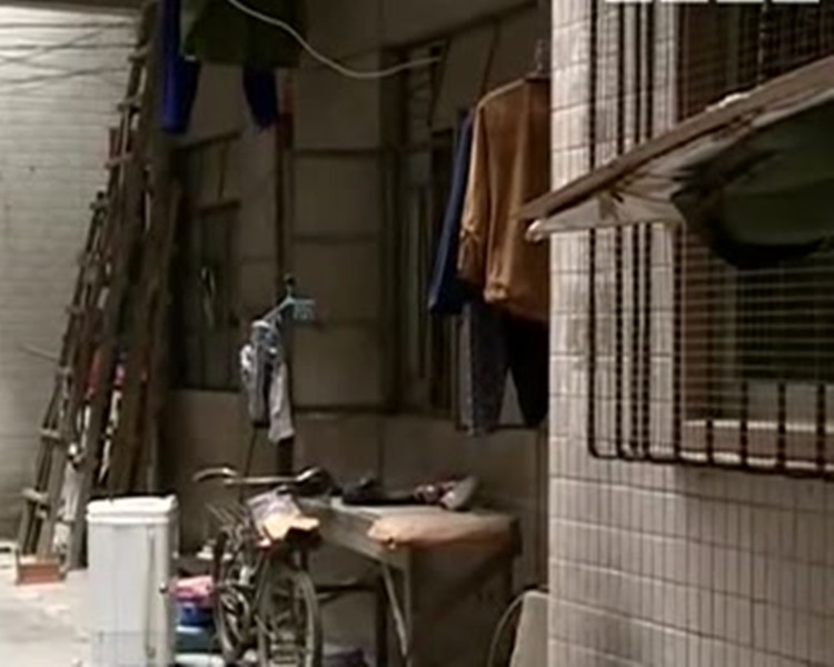 “三亿体育手机版”因差评太多 《新葫芦兄弟》应版权方要求停播(图2) 三亿体育手机版