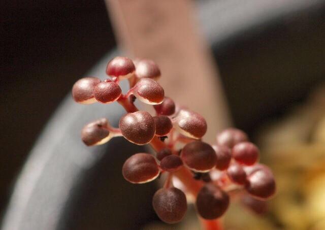 三亿体育手机版