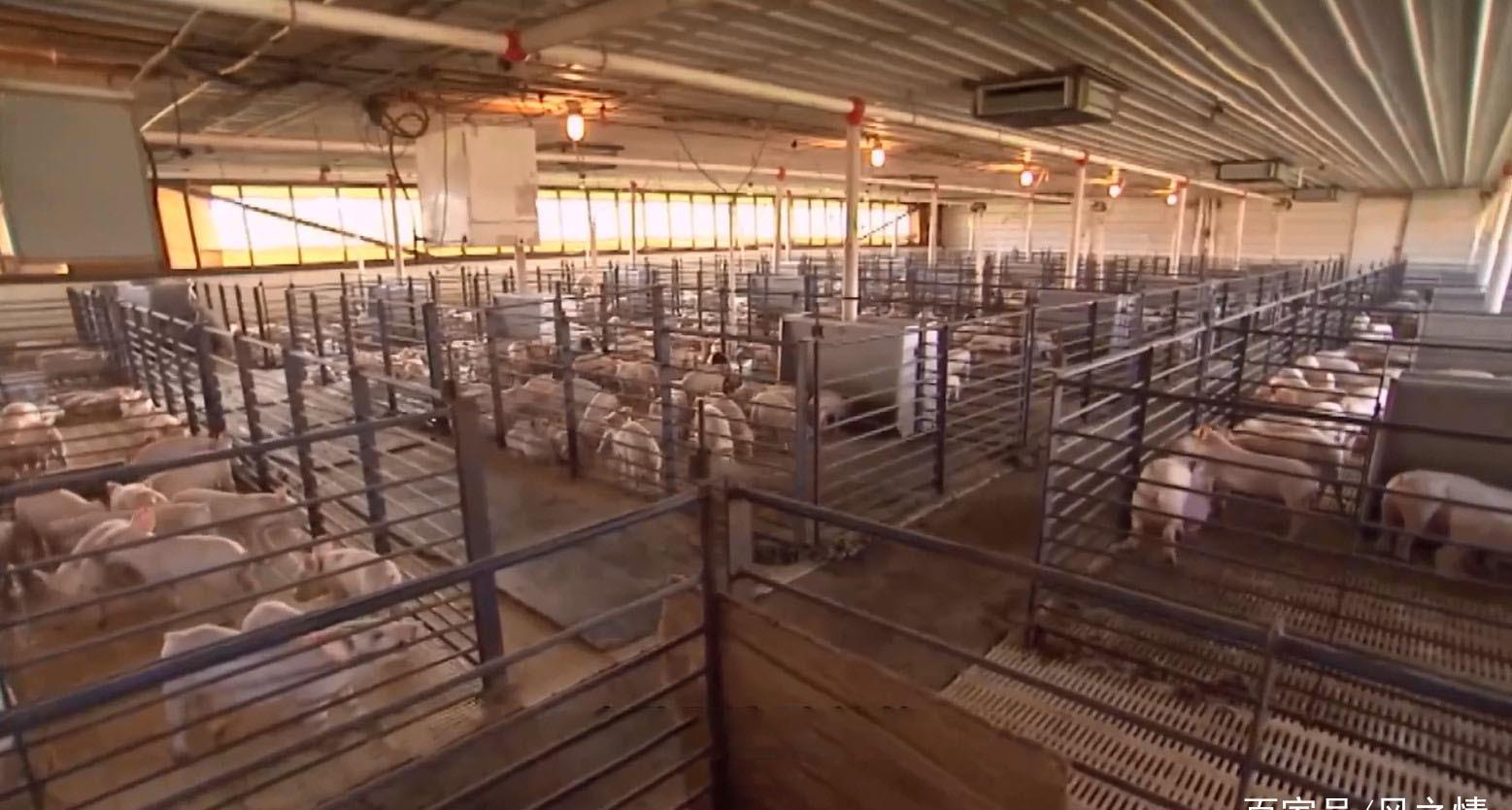 三亿体育手机版_拉比克还是卡尔?今年的DOTA2至宝该投给谁(图3) 三亿体育