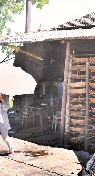 三亿体育官网-光伏再添两上市公司天合光能、晶科电力拟相继上会