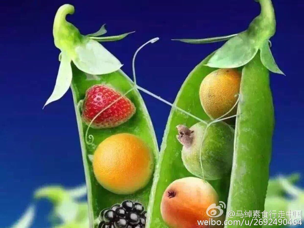 RAZER发布NARI影鲛无线游戏耳麦系列_三亿体育手机版(图2) 三亿体育手机版