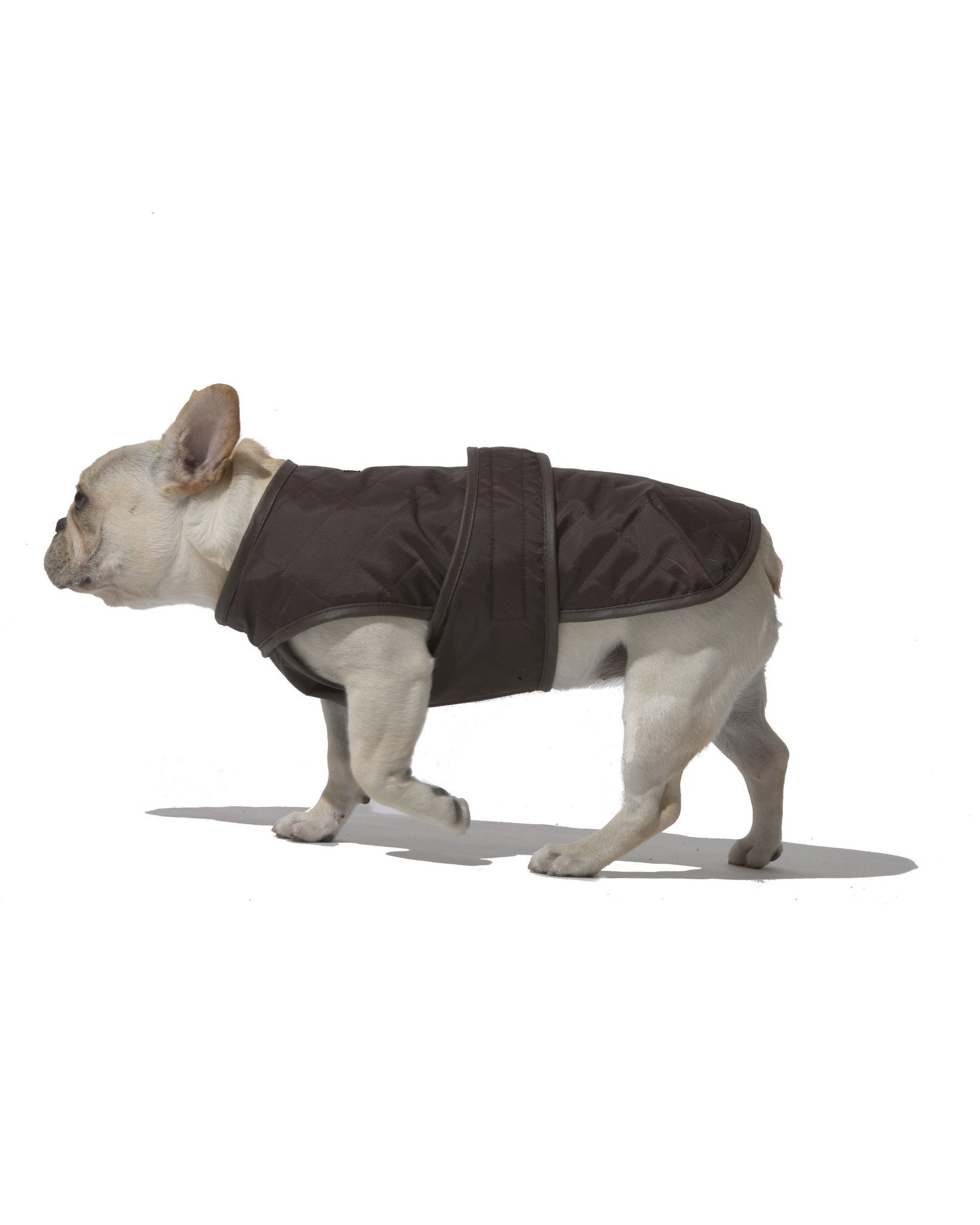 
3000左右高性价比电竞手机怎么选？4款最高性价比电竞性能