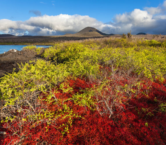 《战意》新服现已开启 三重好礼两大活动等你来-三亿体育手机版(图2) 三亿体育