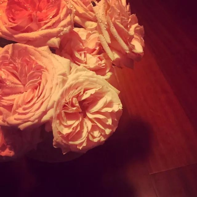 三亿体育手机版