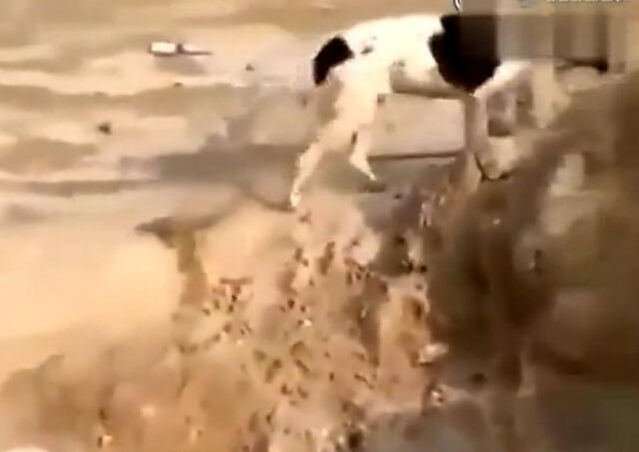 深圳智慧医疗建设的基本情况|三亿体育手机版